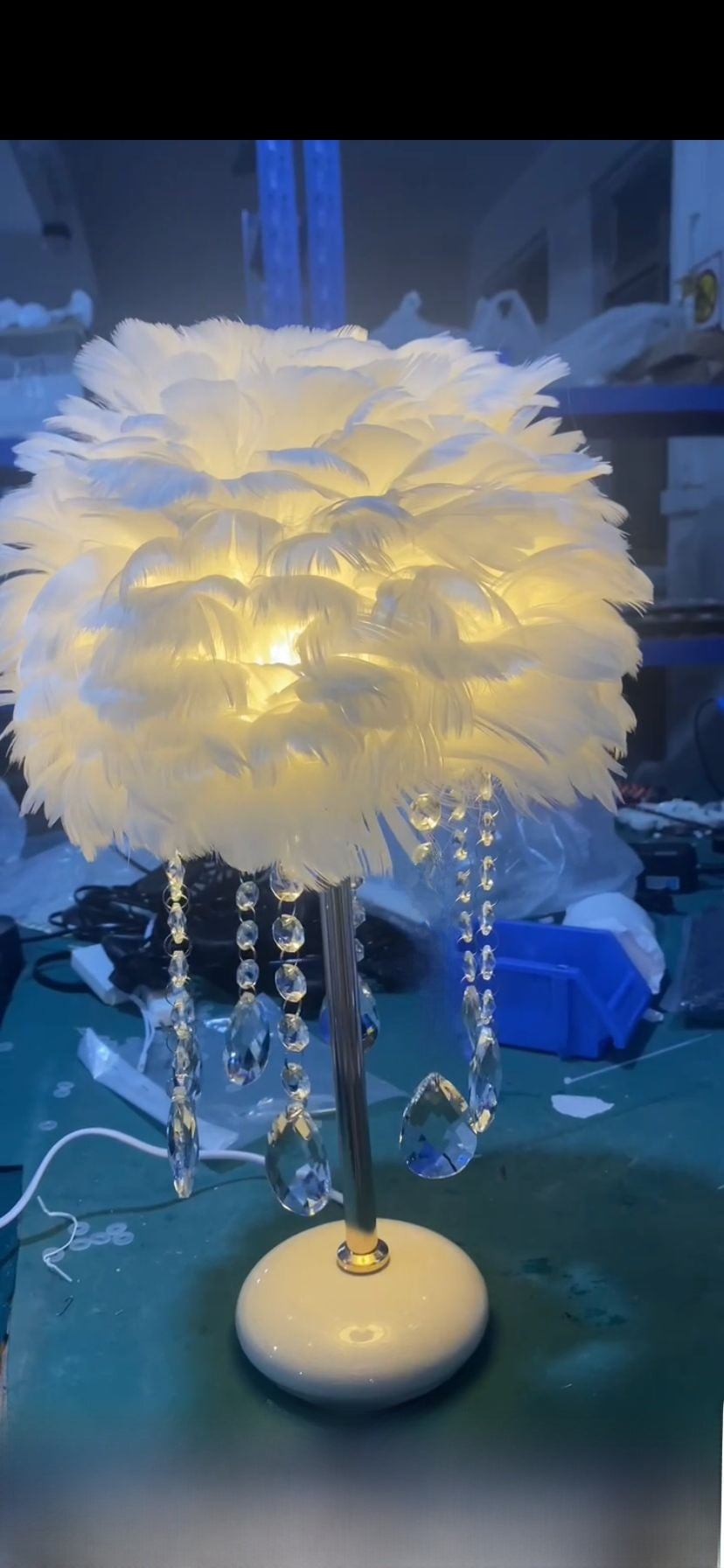 Crystal Feather Table Lamp